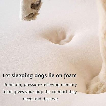 PupRug Orthopedic Dog Bed for Dogs with Soft Faux Fur and Memory Foam for Joint Pain Relief, Machine Washable Waterproof Couch Bed, White, Medium