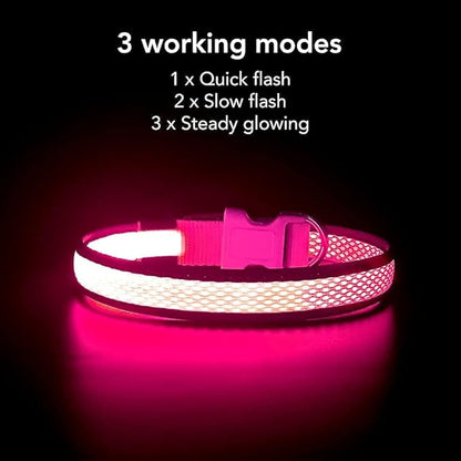 BSEEN Light Up Dog Collars - Reflective LED Dog Collar, Adjustable Puppy Collar, Rechargeable Dog Camping Gear Dog Collar Light for Small Medium Large Dogs (Large, Pink)