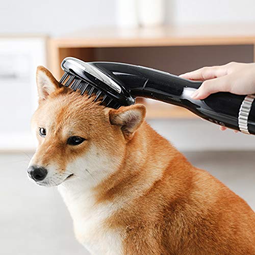 2 in 1 Pet Hair Dryer Blower with Brush 1000W Adjustable Temperature Slicker Shedding Brush for Hort Haired and Medium Small Coated Breeds