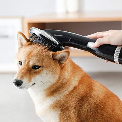 2 in 1 Pet Hair Dryer Blower with Brush 1000W Adjustable Temperature Slicker Shedding Brush for Hort Haired and Medium Small Coated Breeds