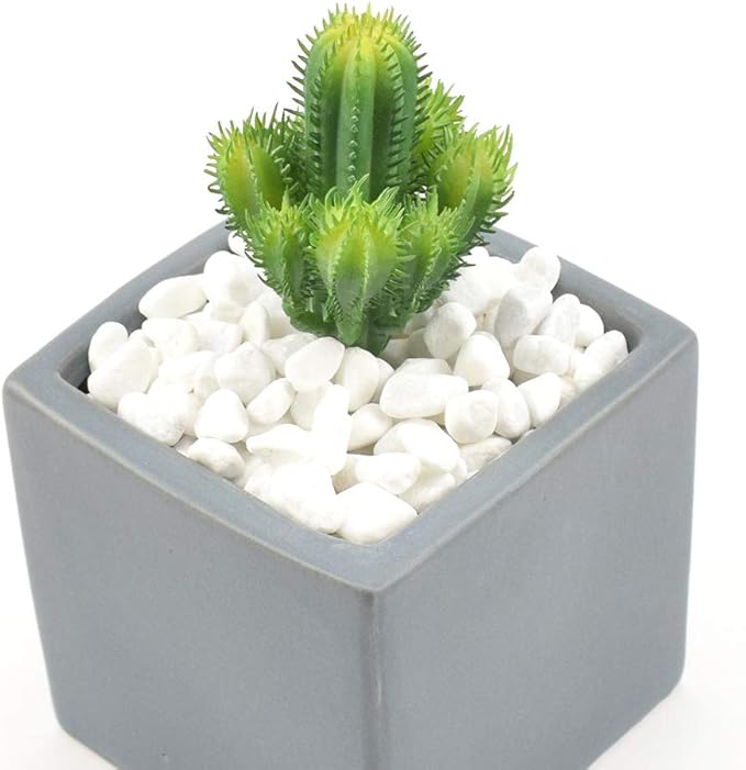 WAYBER 2 Lb/920g White Stones Decorative Pebble Rock Sand for Aquarium/Fish Turtle Tank/Vase Filler/Succulent Plants Decoration (Fill 2 Cups)