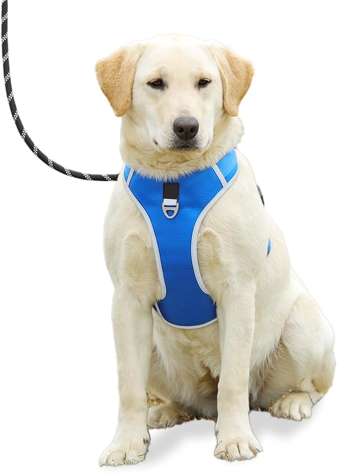 Dog Harness for Medium Dogs No Pull, Adjustable Reflective Oxford Outdoor Vest, Easy for Walk and Training, Front/Back Leash Clips for Small, Medium, Large Dogs (Blue, S)