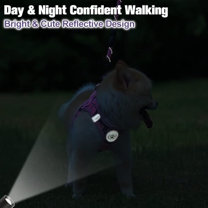 BEAUTYZOO Small Dog Harness and Leash Set,Step in No Chock No Pull Soft Mesh Dog Harnesses Reflective for Extra-Small/Small Medium Puppy Dogs and Cats, Plaid Dog Vest Harness for XS S Pets, Pink XS