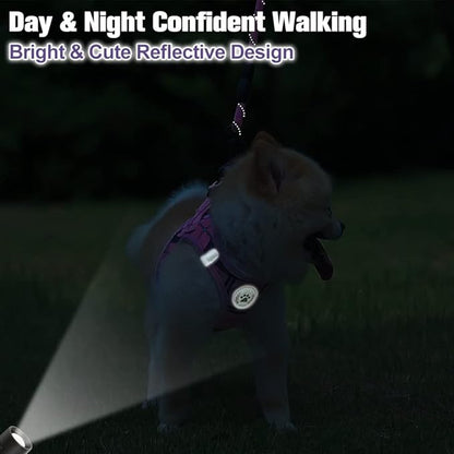 BEAUTYZOO Small Dog Harness and Leash Set,Step in No Chock No Pull Soft Mesh Dog Harnesses Reflective for Extra-Small/Small Medium Puppy Dogs and Cats, Plaid Dog Vest Harness for XS S Pets, Pink XS