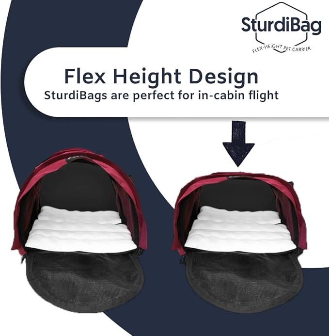 SturdiBag XL Pet Travel Carrier: Flexible Height for Cat and Dog Soft Sided with Safety Clips and Seatbelt Straps | Black, 20" x 16" x 12" (PN: SB3-PRO-BL)