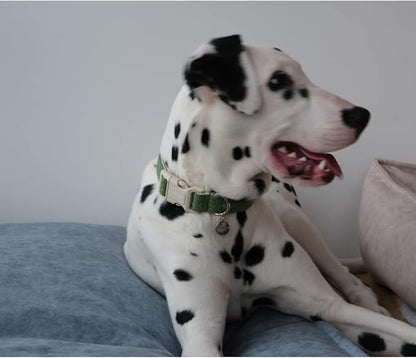 DOGWONG Cotton Hemp Dog Collar - Heavy-Duty Green Adjustable Soft Natural Fabric Pet Collar, Cute Wedding Puppy Necklace for Small Medium Large Dogs