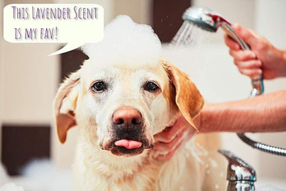 5-in-1 Dog Wash Moisturizing Lavender Shampoo, by Kira Labs 960ml/32fl