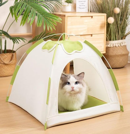 Cute Cat Teepee Cave, Cat Tent Foldable Indoor Outdoor with Thick Mat,Puppy Bed Tent,Bunny Pet Tent Teepee,Portable Dog House Teepee Tent, Cat Bed,Dog Bed Tent,Puppy Bunny,Pet Tent Teepee (T, M)