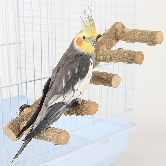 Parrot Natural Sichuan Pepper Wooden Bird Ladder Perch Cage Nature Wood Stand Chew Toy Parrot Bird Cage Accessories Suitable for Small and Medium Sized
