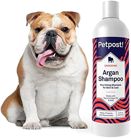 Petpost | Argan Shampoo for Dogs - Naturally Heals, Protects, & Rejuvenates Dog Dry Skin & Coat - Argan Oil and Aloe Formula 8 oz.