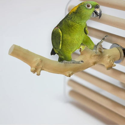 Hamiledyi Wood Bird Perch Stand Parrot Stand Branch Natural Wood Stick Paw Grinding Cage Accessories for Small Birds Parrots Parakeets Cockatiels Conures Lovebirds(2 Pcs)