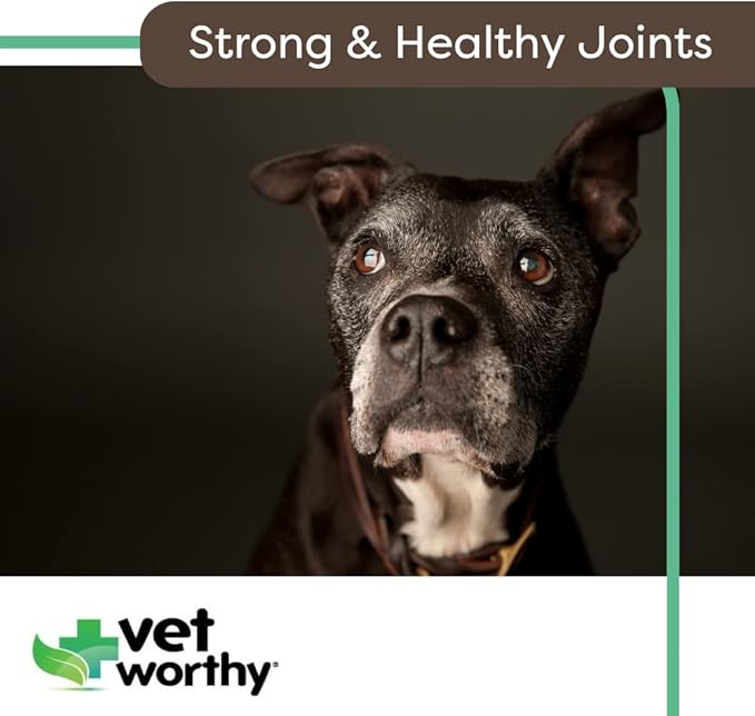 Vet Worthy Joint Support Level 4 - Chewable Tablet| Supports Bone Health and Healthy Joints - Dog Supplement with Glucosamine and Hyaluronic Acid | Vet Strength Joint Care | Liver Flavor, 60-Count
