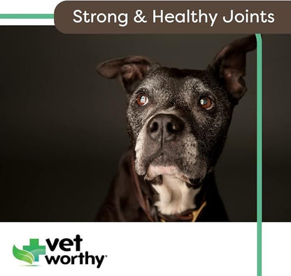 Vet Worthy Joint Support Level 4 - Chewable Tablet| Supports Bone Health and Healthy Joints - Dog Supplement with Glucosamine and Hyaluronic Acid | Vet Strength Joint Care | Liver Flavor, 60-Count