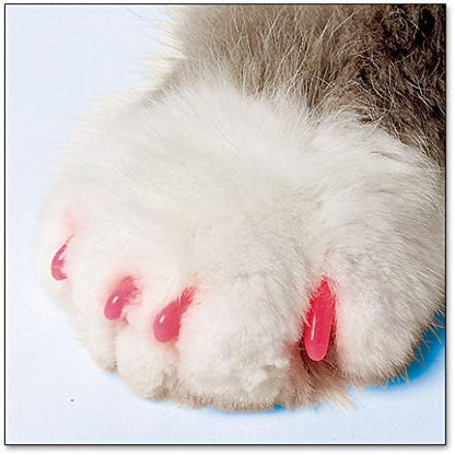 Feline Soft Claws Cat Nail Caps Take-Home Kit, Small, Pink