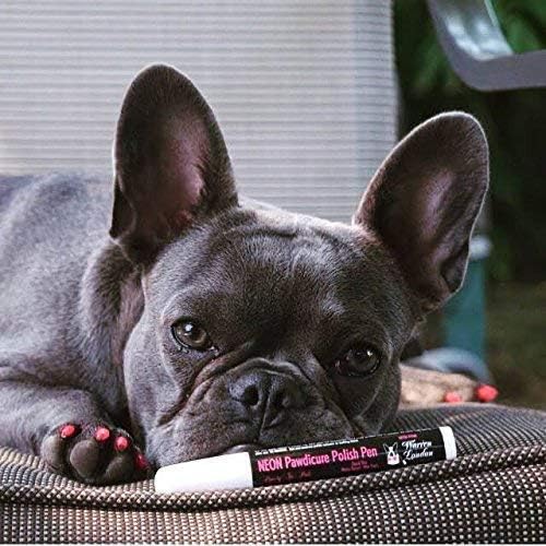 Warren London Pawdicure Dog Nail Polish Pens | Made in USA | Quick Dry, Low Odor, Non-Toxic Dog Accessories | Ideal for Dog Birthday, Dog Costume | 13 Colors | Neon Pink