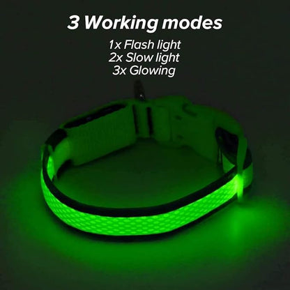 BSEEN LED Dog Collar Light- USB Rechargeable Light Up Dog Collars, Adjustable Mesh Reflective Puppy Collars for Night Dog Walking (Neon Green- Small- Collar)