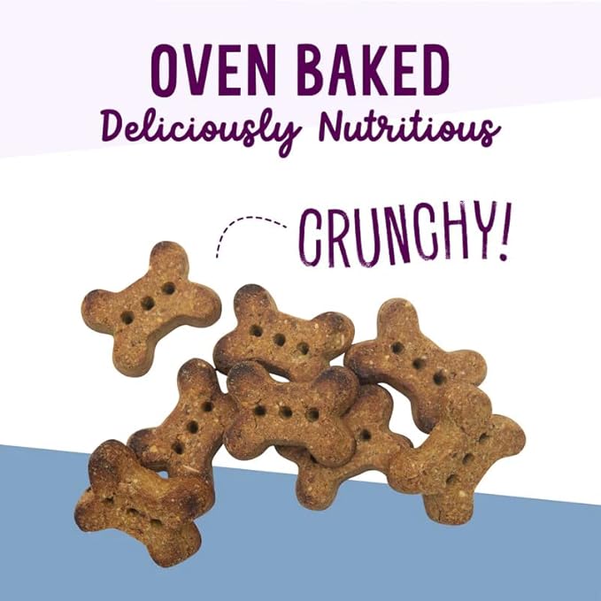 Health Extension Oven-Baked Dog Treats, 6oz (170g), Lamb & Blueberry Recipe – Gluten & Grain-Free, Superfood-Infused, Crunchy Biscuits for Puppy Training (Pack of 4)