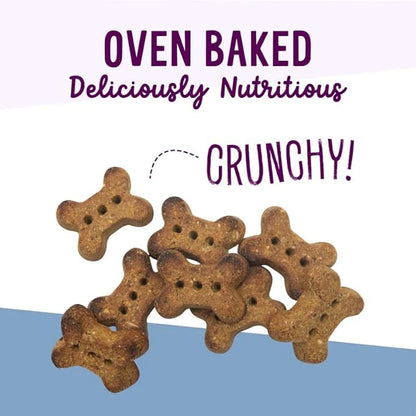 Health Extension Oven-Baked Dog Treats, 6oz (170g), Lamb & Blueberry Recipe – Gluten & Grain-Free, Superfood-Infused, Crunchy Biscuits for Puppy Training (Pack of 4)