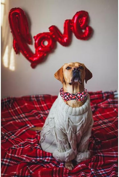 Unique Style Paws Valentine's Day Dog Collar with Bow Colorful Heart Love Dog Collars for Small Medium Large Dog New (S, Black Bow)