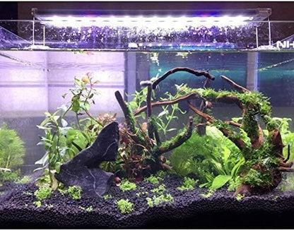 PINVNBY Large Driftwood for Aquarium Fish Tank Decorations Natural Assorted Branches Bearded Dragon Tank Accessories Terrarium Decor for Aquarium Decor (11-18 inches/1 Pack)