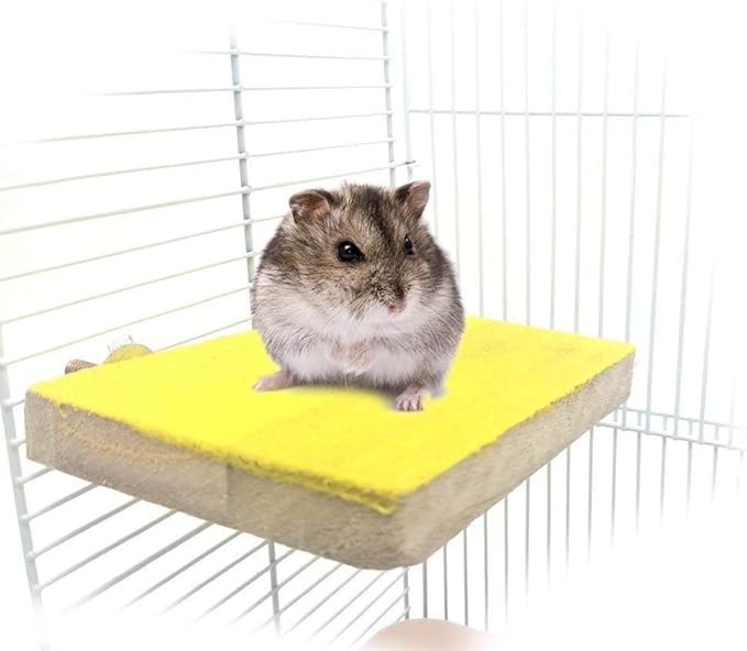 Litewoo Bird Perch Grinding Stand for Bird Parrot Budgie Parakeet Cockatiel Conure Lovebird Finch（3.5" x 5.1"）