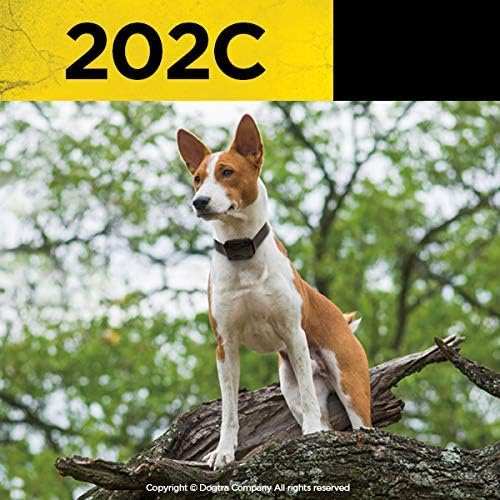 Dogtra 202C Waterproof ½-Mile One-Handed Operation 2-Dog Remote Training Dog E-Collar
