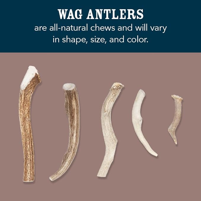 Amazon Brand  Wag Dog Deer Antler Chew, Naturally Shed, Whole, 910.5 inches, X-Large (Best for Dogs over 45 lbs)