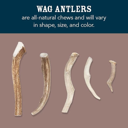 Amazon Brand  Wag Split Elk Antler, Naturally Shed, Small (Best for Dogs under 15 lbs)