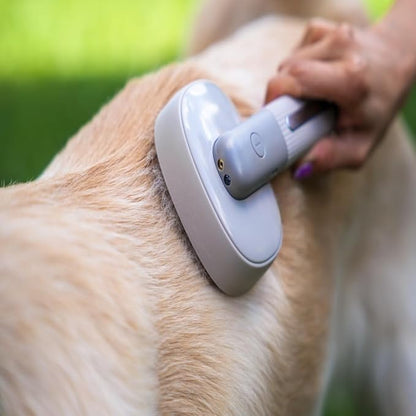 Bark&Bliss Self Cleaning Slicker Brush  Skin-Friendly Deshedding Grooming Tool for Dogs & Cats, Suitable for Shedding & Long-Haired Pets, Puppy Brush, Pet Grooming Brush, Cat Brush for Shedding