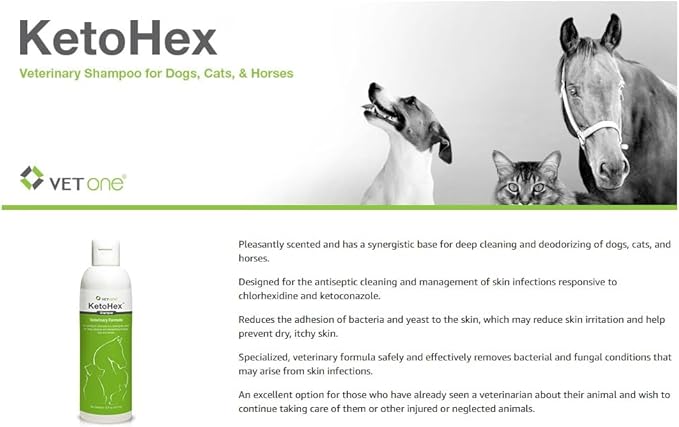 KetoHex Cat and Dog Shampoo - 16 oz Anti Bacterial Cat & Dog Flea And Tick Treatment, For Sensitive Skin Infections & Lesions, Protects & Moisturizes, Antifungal Treatment For Dogs & Cats - VetOne