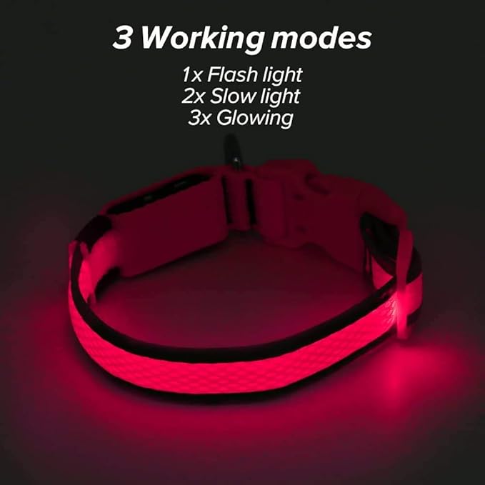 BSEEN Light up Dog Collar Lights for Night Walking - Waterproof LED Dog Collar Light Rechargeable Glow in The Dark Dog Collars for Small Dogs (Pink, Small)