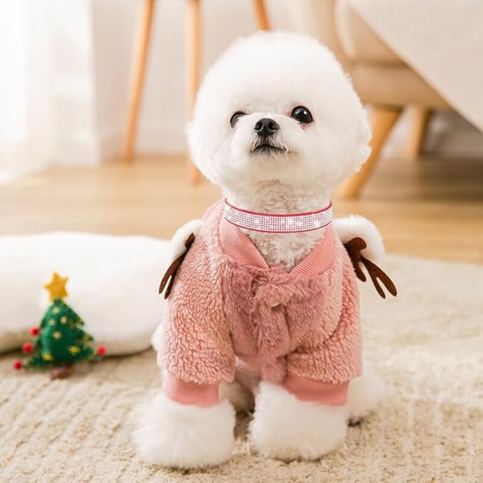 Diamond XS Dog Collar Girl, Bling Dog Collar with Rhinestone Crystal Glitter Female Dog Collars for Puppy XXS XS Small Dogs and Cats, Black, XS