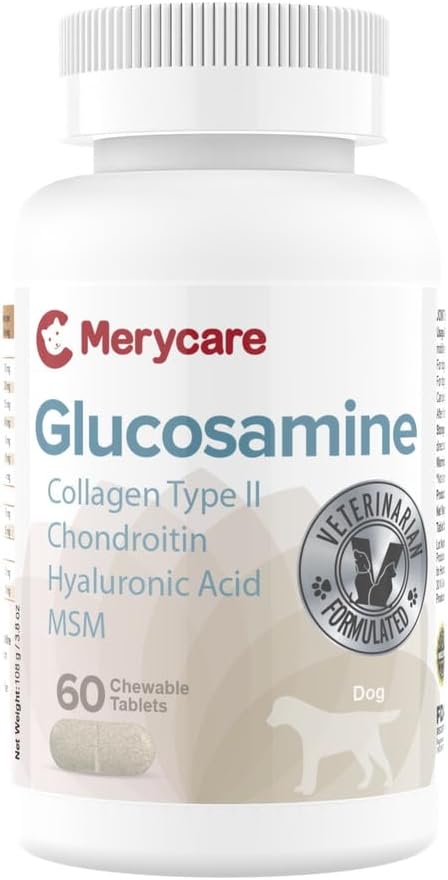 Glucosamine for Dogs  Hip & Joint Support Chewable Tablets with Collagen Type II, Chondroitin, MSM & Hyaluronic Acid  Veterinarian-Formulated  60 Count
