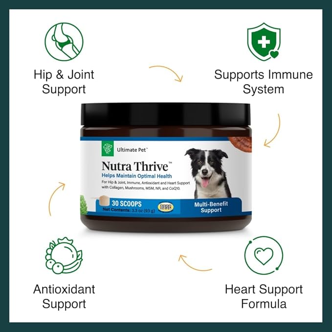 Ultimate Pet Nutrition Nutra Thrive Canine, 40-in-1 Nutritional Powder Supplement for Dogs with Digestion and Immune Support, Vitamins, Minerals, Probiotics, Enzymes, 30 Scoops (Pack of 3)