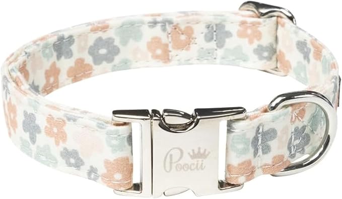 Durable Cotton Blend Dog Collar, Cute & Stylish, Adjustable with Metal Locking Clasp, Made in USA (Ditzy Floral, Small)