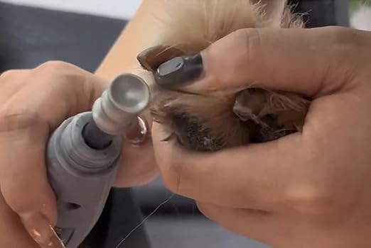 Nail Diamond bits for Dremel - Dog Nail Grinder Attachment for Large Medium Small Dogs - 1/8" Pet Nail Grinder Wheel Work with Dremel for Pet Nail Care (A