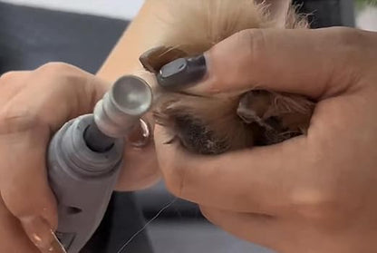 Nail Diamond bits for Dremel - Dog Nail Grinder Attachment for Large Medium Small Dogs - 1/8" Pet Nail Grinder Wheel Work with Dremel for Pet Nail Care (A