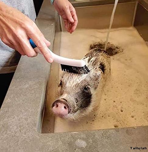 All Natural Rust Remover Whitening Shampoo & Organic Cherry Scented Coconut Oil for Pigs Dogs Small Animals