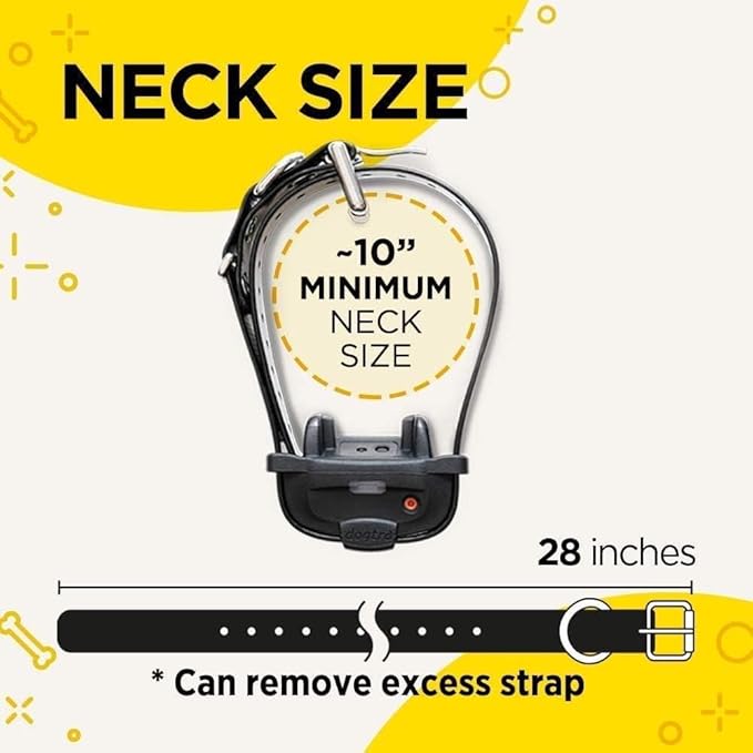 Dogtra iQ Mini Rechargeable Waterproof Mini Dog Training E-Collar with Water-Resistant Remote