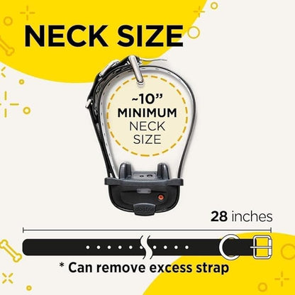 Dogtra iQ Mini Rechargeable Waterproof Mini Dog Training E-Collar with Water-Resistant Remote