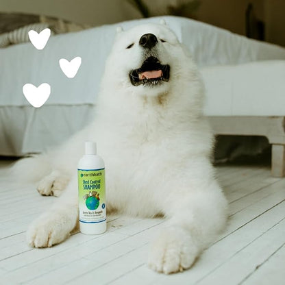 earthbath, Hypoallergenic Dog Shampoo and Green Tea & Awapuhi Grooming Wipes - Fragrance Free Dog Shampoo for Allergies and Itching, Dog Wipes for Paws and Butt, Cruelty-Free - 16 Oz, 30 Wipes