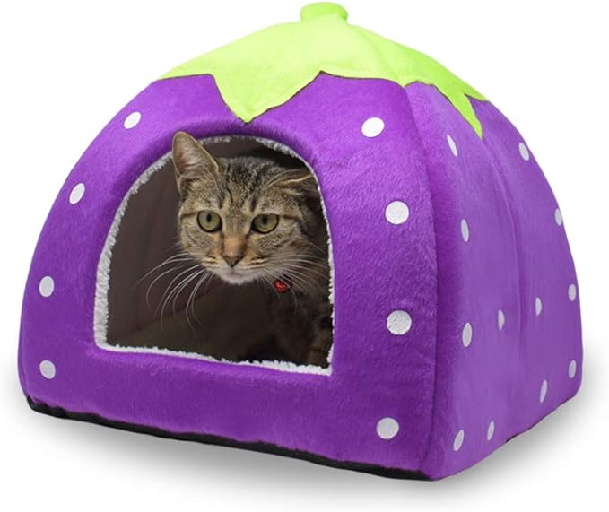 Spring Fever Hamster Guinea Pig Rabbit Dog Cat Chinchilla Hedgehog Bird Small Animal Pet Bed House Hideout Cage Accessorie D Purple XL (18.9 * 18.9 inch)