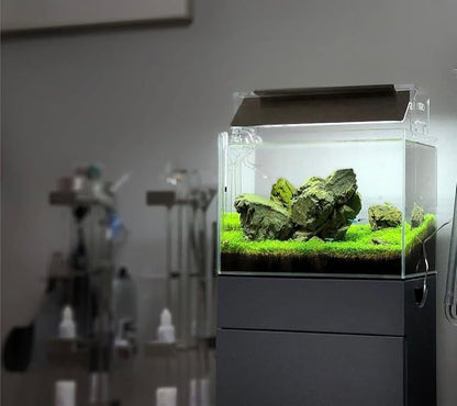 SubstrateSource Natural Stone for Aquarium, Terrarium, Paludarium, Reptile Enclosures - Set of Decorative Rocks for Landcapes, Aquascaping, Fish Tank Decor (Manten Stone, 10 Pounds, 2-6")