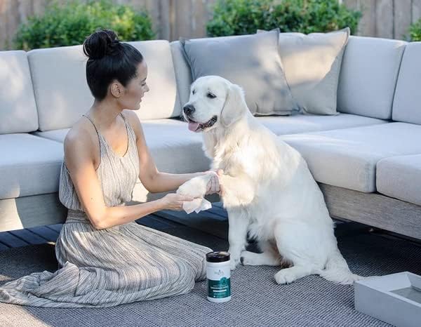 Multi-Purpose Dog Grooming Wipes with Organic Oatmeal & Aloe - Thick, Hypoallergenic Wipes for Spot Cleaning and Between Baths (50 Wipes)