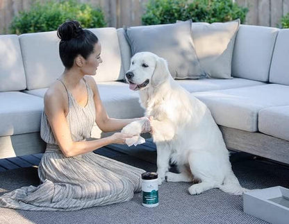 Multi-Purpose Dog Grooming Wipes with Organic Oatmeal & Aloe - Thick, Hypoallergenic Wipes for Spot Cleaning and Between Baths (50 Wipes)