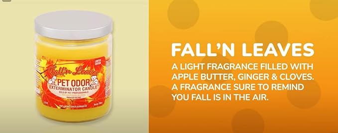 0 Candle Fall 'N Leaves