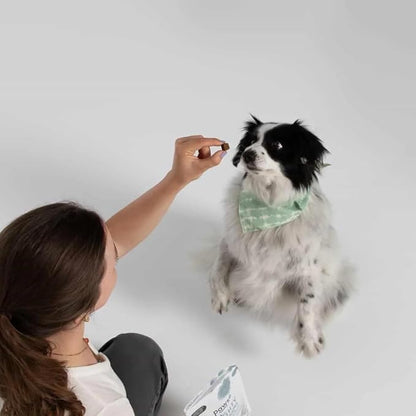 Mighty Mushroom Supplement for Dogs & Cats | for Immune System, Lumps & Bumps, Gut Health & Skin Support | Mushroom Blend with Turkey Tail, Reishi, Chaga, Maitake & Shiitake | 60 Bites