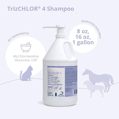 4 Shampoo for Dogs, Cats and Horses, Gallon