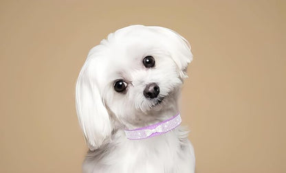 Diamond Dog Collars for Small Dogs, Rhinestone Puppy Collars with Leash, Sparkly Bling Jeweled Crystal Cat Collars for Girls Female XXS XS Small Medium Large Dogs Black XXS