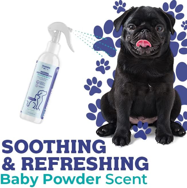 Pets Pet Deodorant & Odor Neutralizer w/Oat & Aloe | Naturally Derived Quick-Drying Deodorizer Spray for Dogs | Safe on Carpets & Furniture | Pet-Safe & Hypoallergenic | Baby Powder Scent